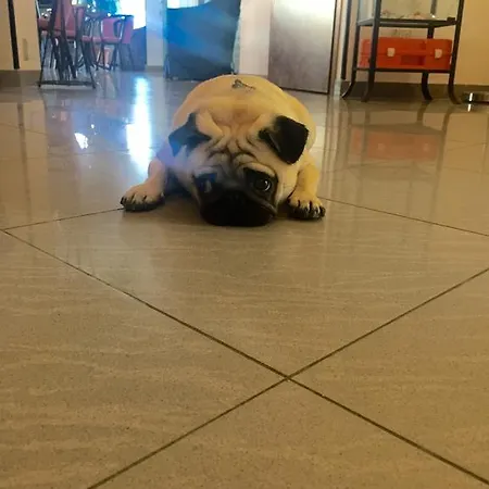 Ciondolo D'oro 5 Minuti Da Fiera Con Parcheggio Incluso