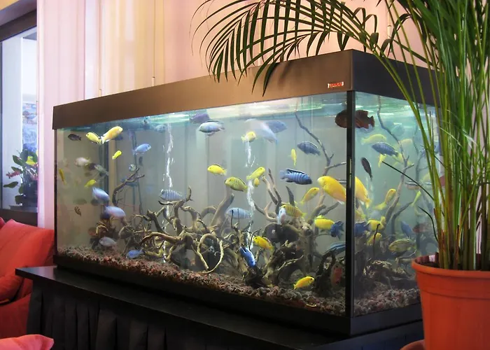 酒店 Ciondolo D'oro 5 Minuti Da Fiera Con Parcheggio Incluso 里米尼